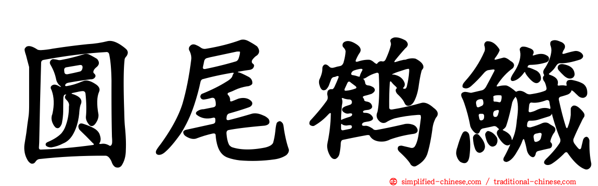 圆尾鹤鱵