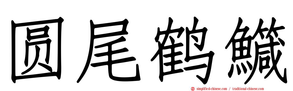 圆尾鹤鱵