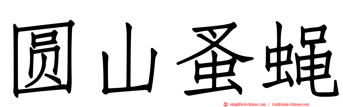 圆山蚤蝇