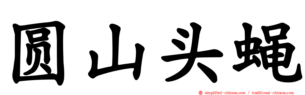 圆山头蝇