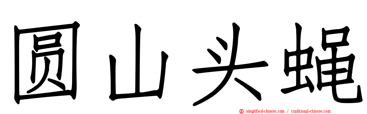 圆山头蝇