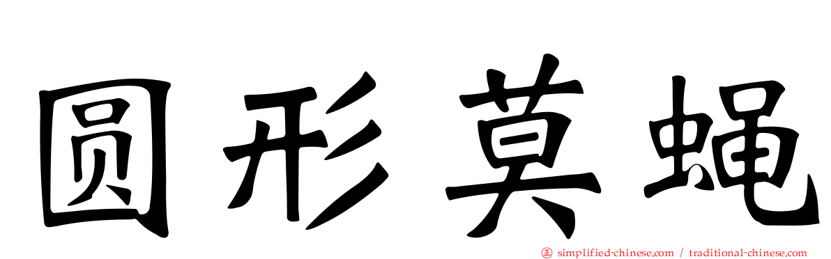 圆形莫蝇