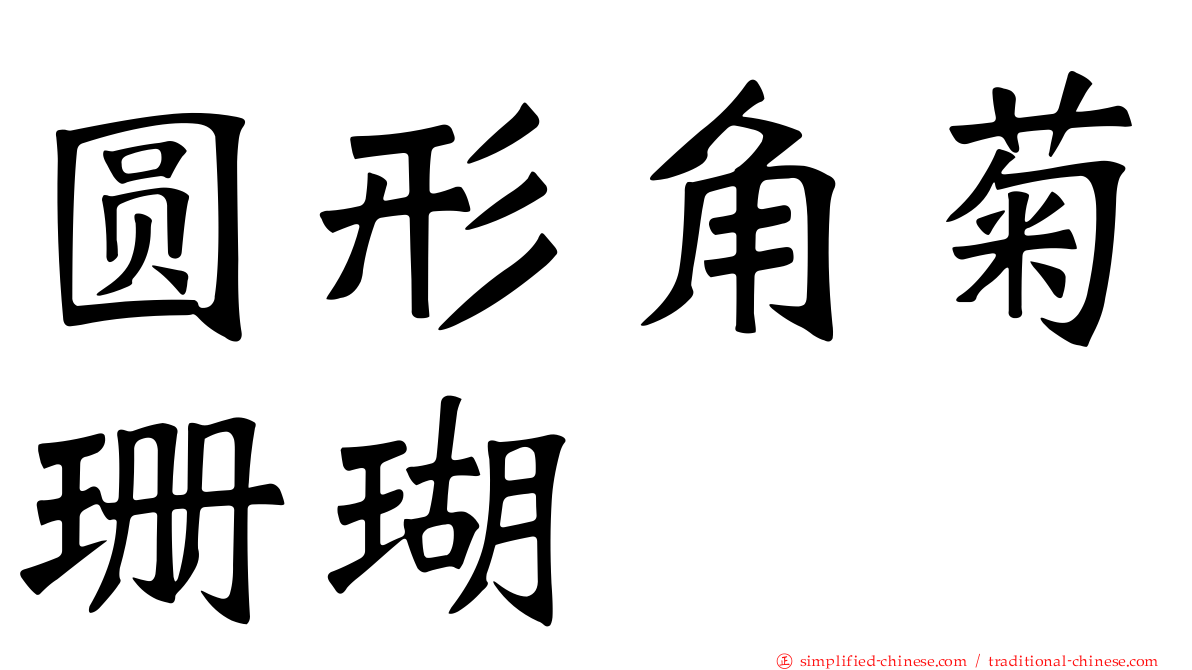 圆形角菊珊瑚