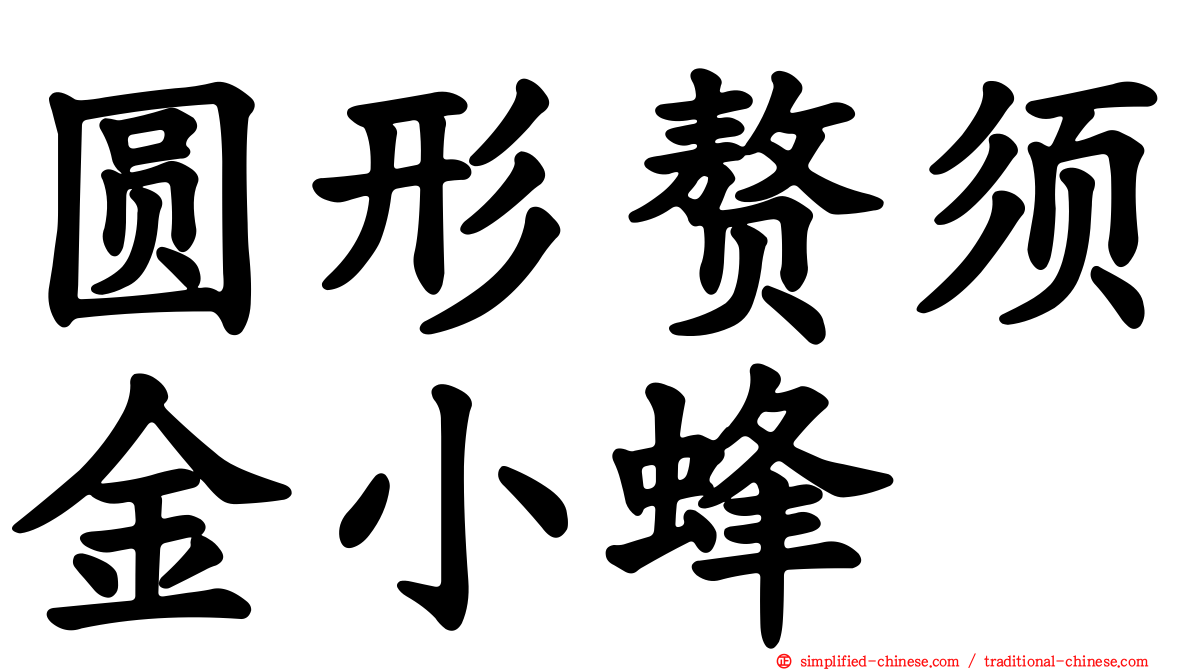 圆形赘须金小蜂
