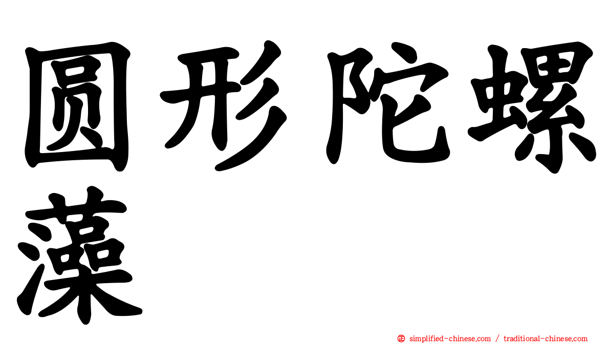 圆形陀螺藻