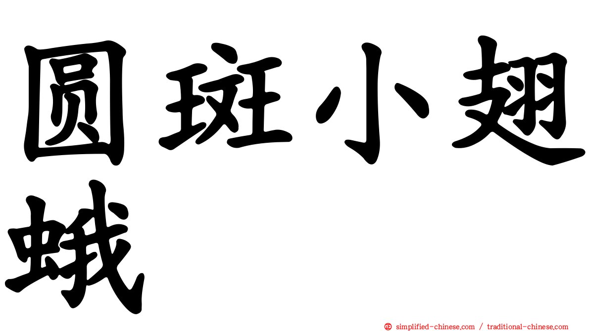圆斑小翅蛾