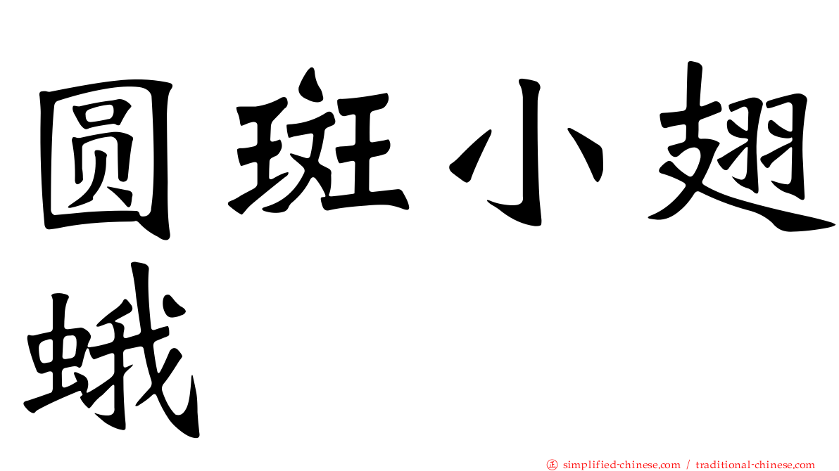 圆斑小翅蛾