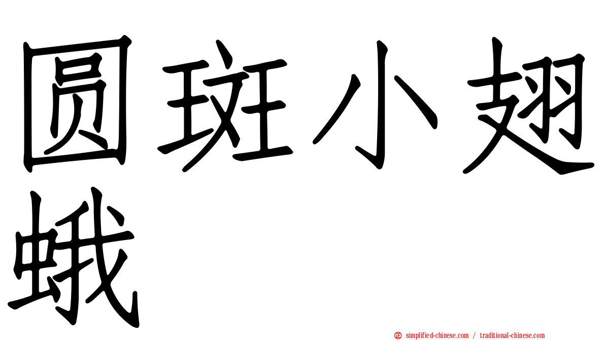 圆斑小翅蛾
