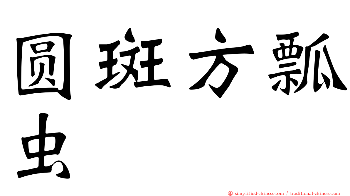 圆斑方瓢虫