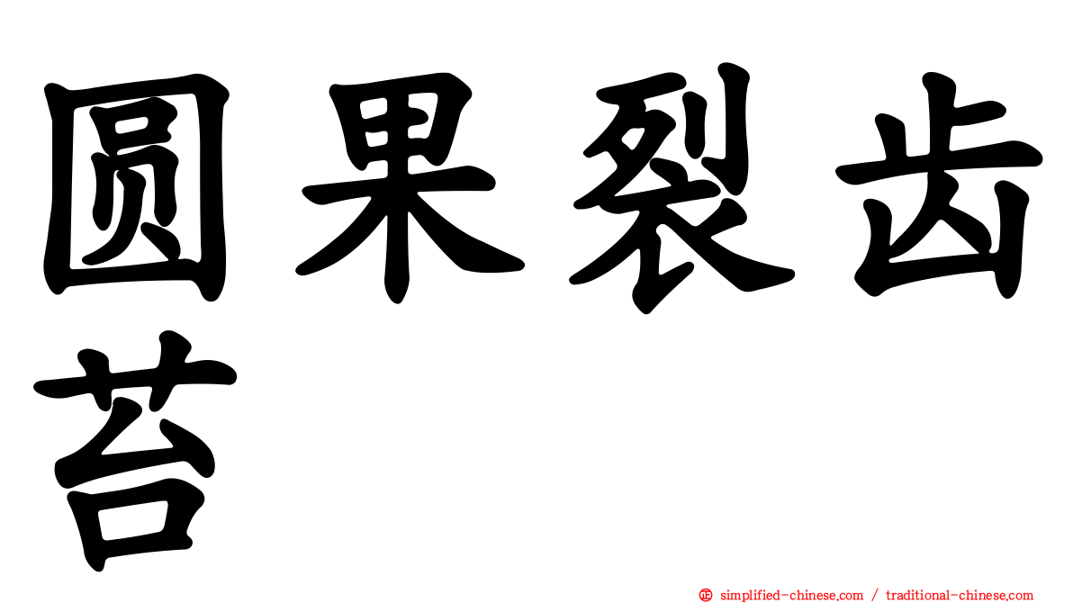 圆果裂齿苔