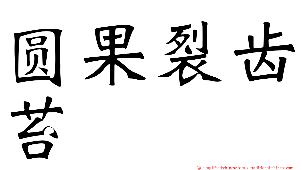圆果裂齿苔