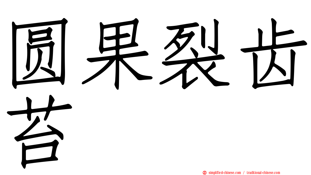 圆果裂齿苔