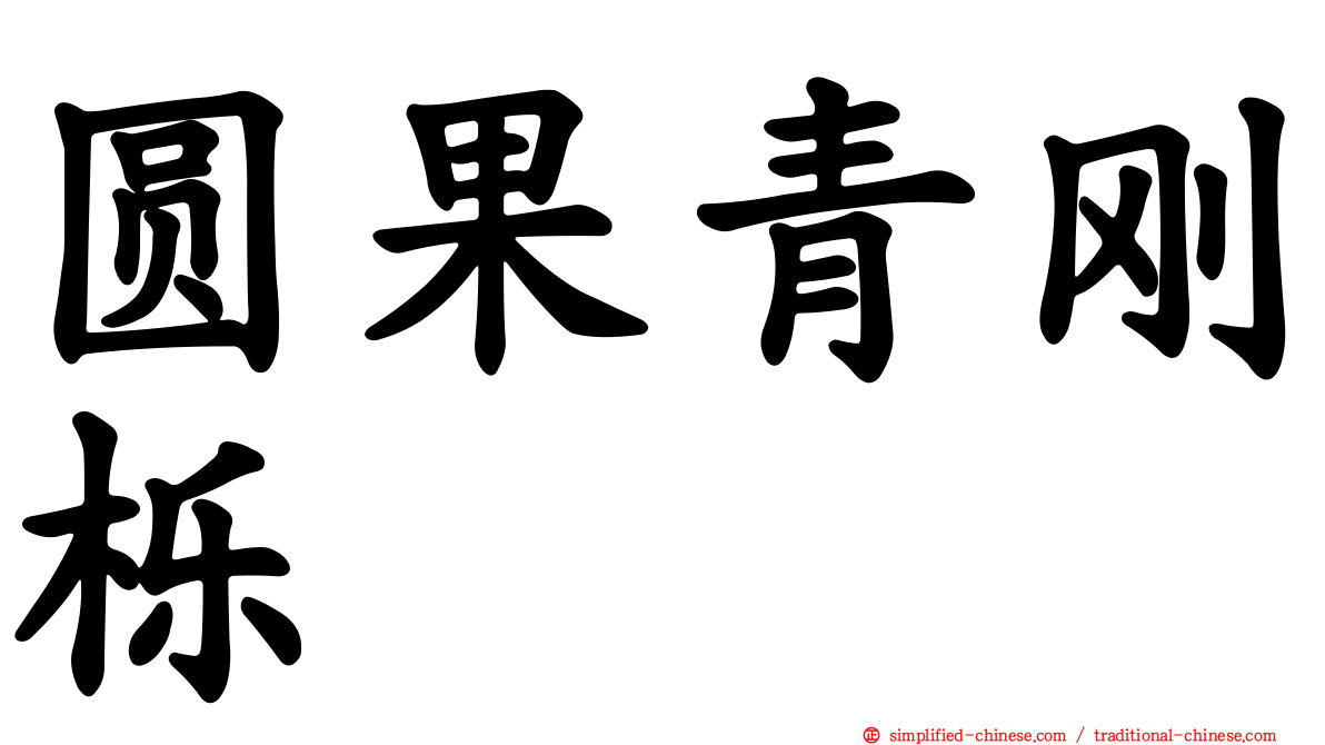 圆果青刚栎
