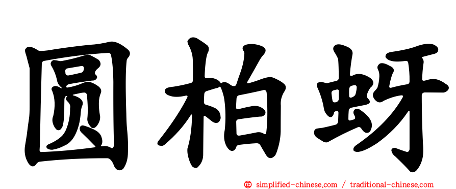 圆柏蚜