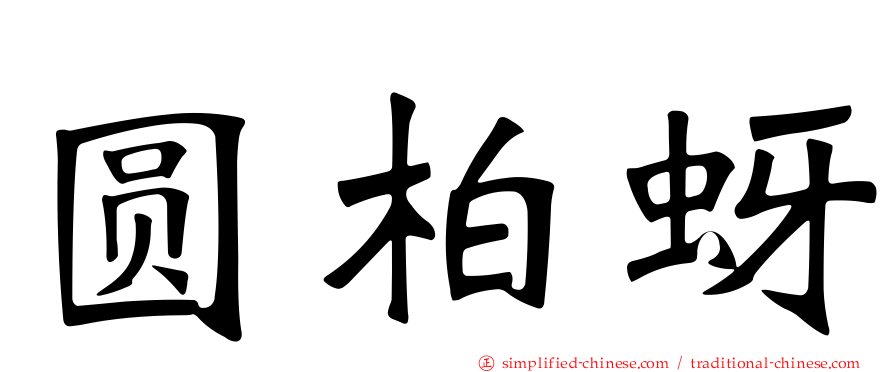 圆柏蚜