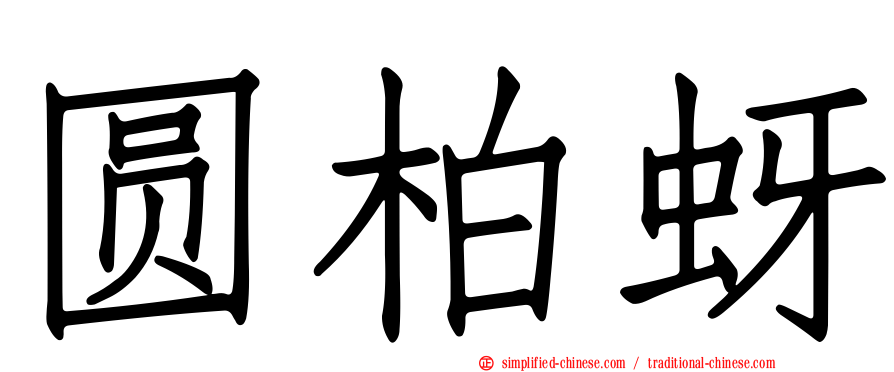 圆柏蚜
