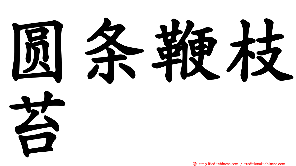 圆条鞭枝苔