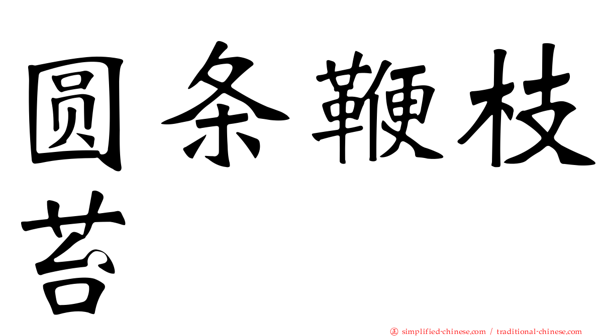 圆条鞭枝苔