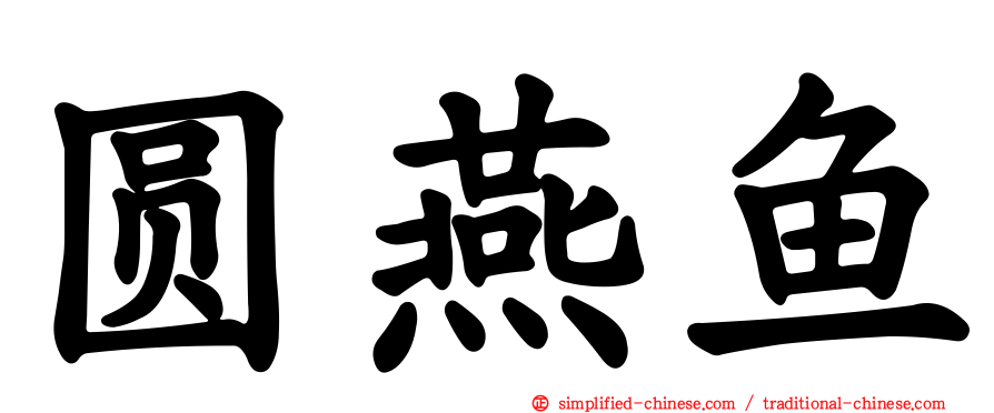 圆燕鱼
