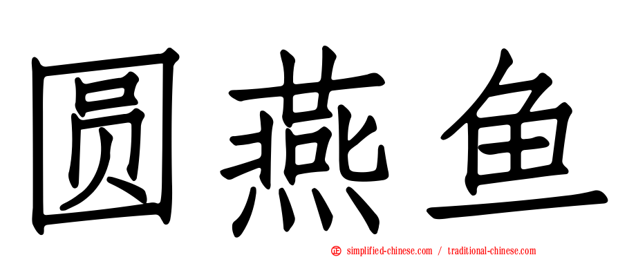 圆燕鱼