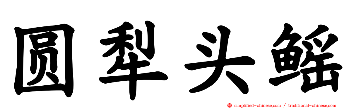 圆犁头鳐