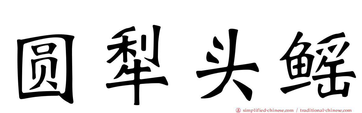 圆犁头鳐