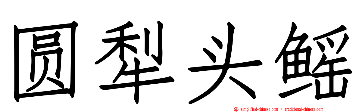 圆犁头鳐