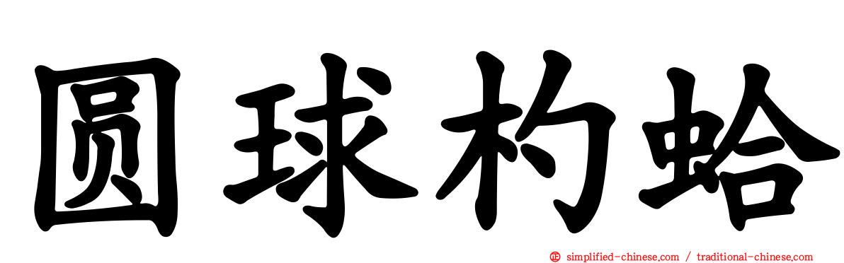 圆球杓蛤