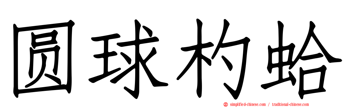 圆球杓蛤