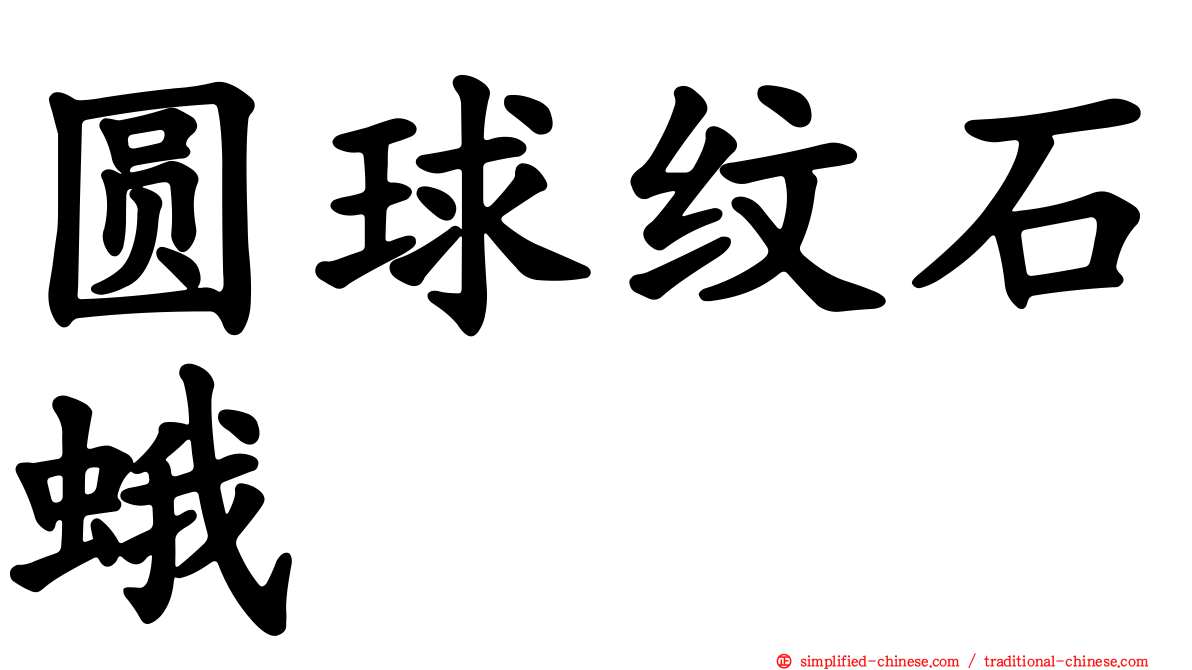 圆球纹石蛾