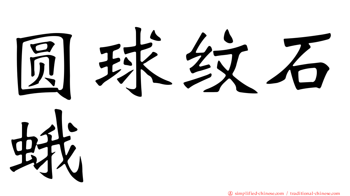 圆球纹石蛾