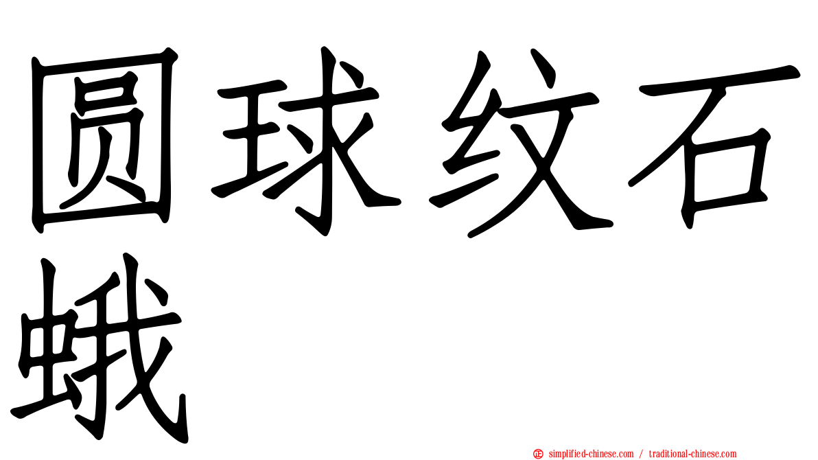 圆球纹石蛾