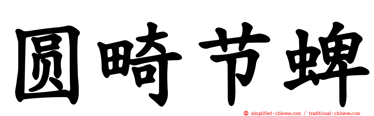 圆畸节蜱