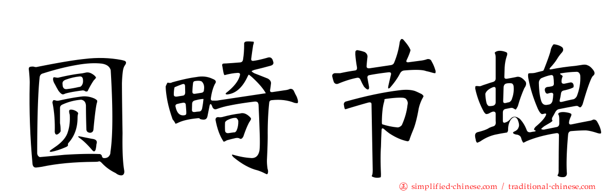 圆畸节蜱