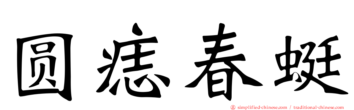 圆痣春蜓