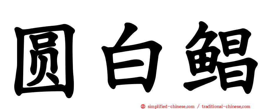 圆白鲳
