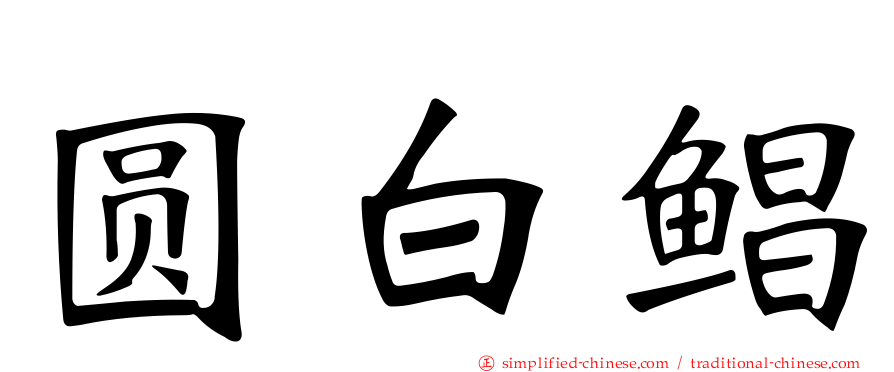 圆白鲳