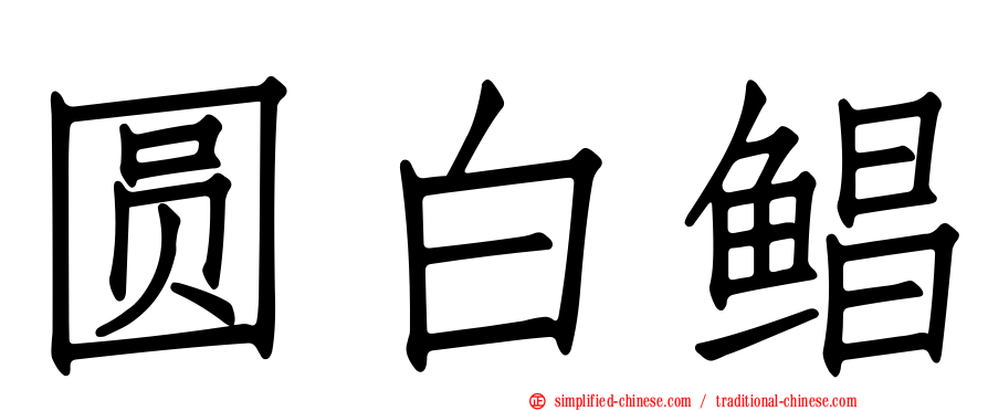 圆白鲳