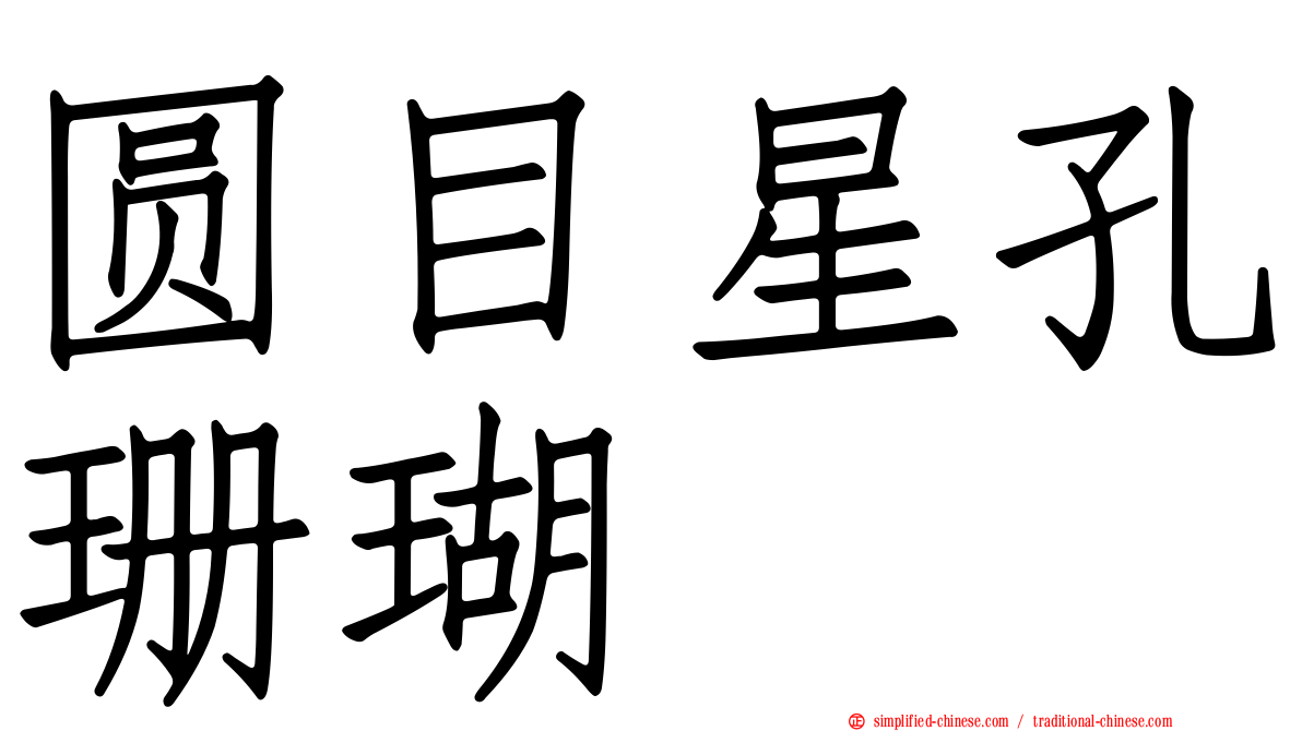 圆目星孔珊瑚