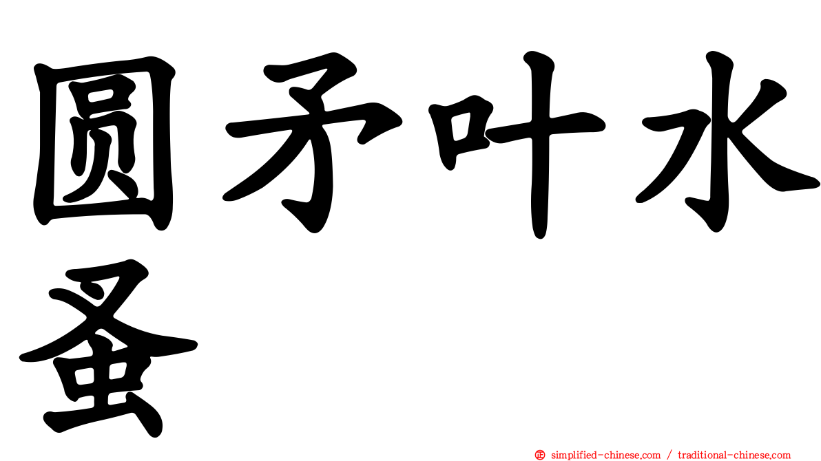 圆矛叶水蚤