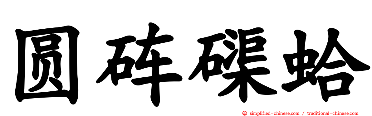 圆砗磲蛤