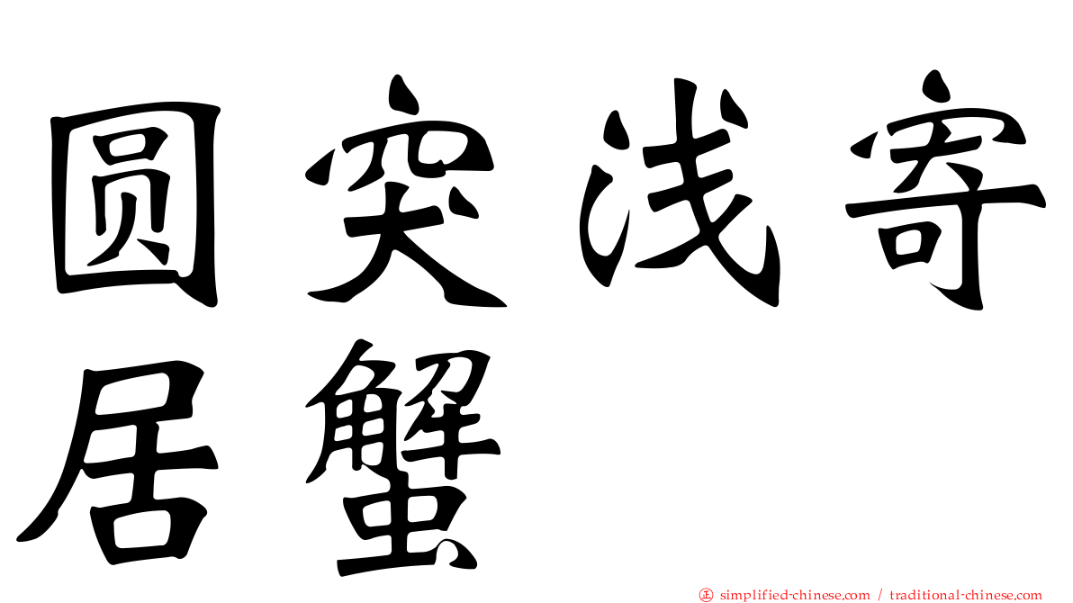 圆突浅寄居蟹