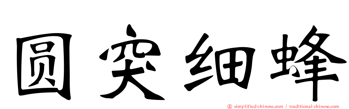 圆突细蜂