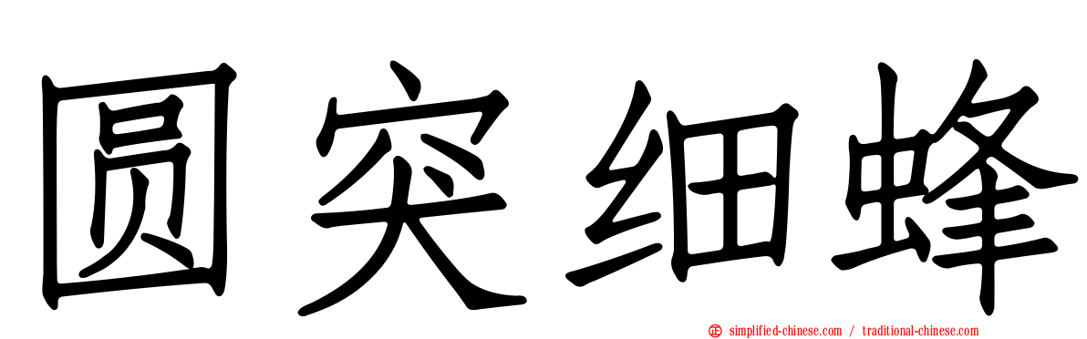 圆突细蜂