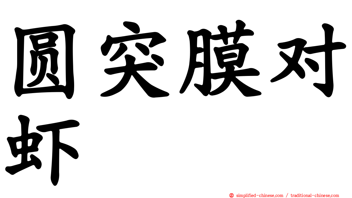 圆突膜对虾