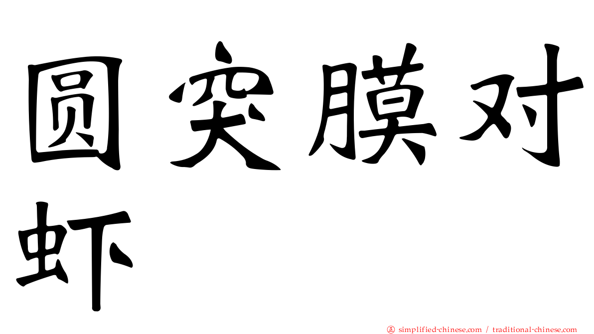 圆突膜对虾