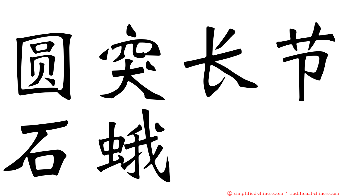 圆突长节石蛾
