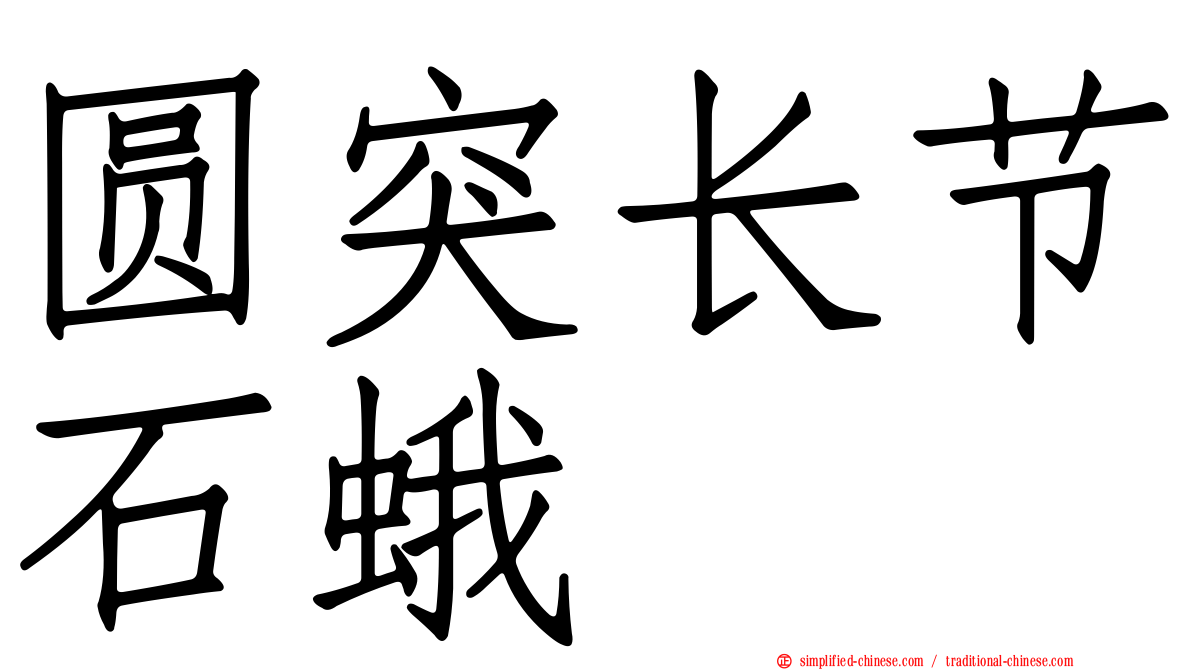 圆突长节石蛾