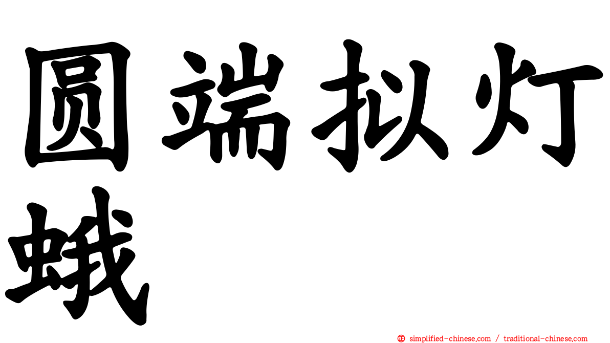 圆端拟灯蛾