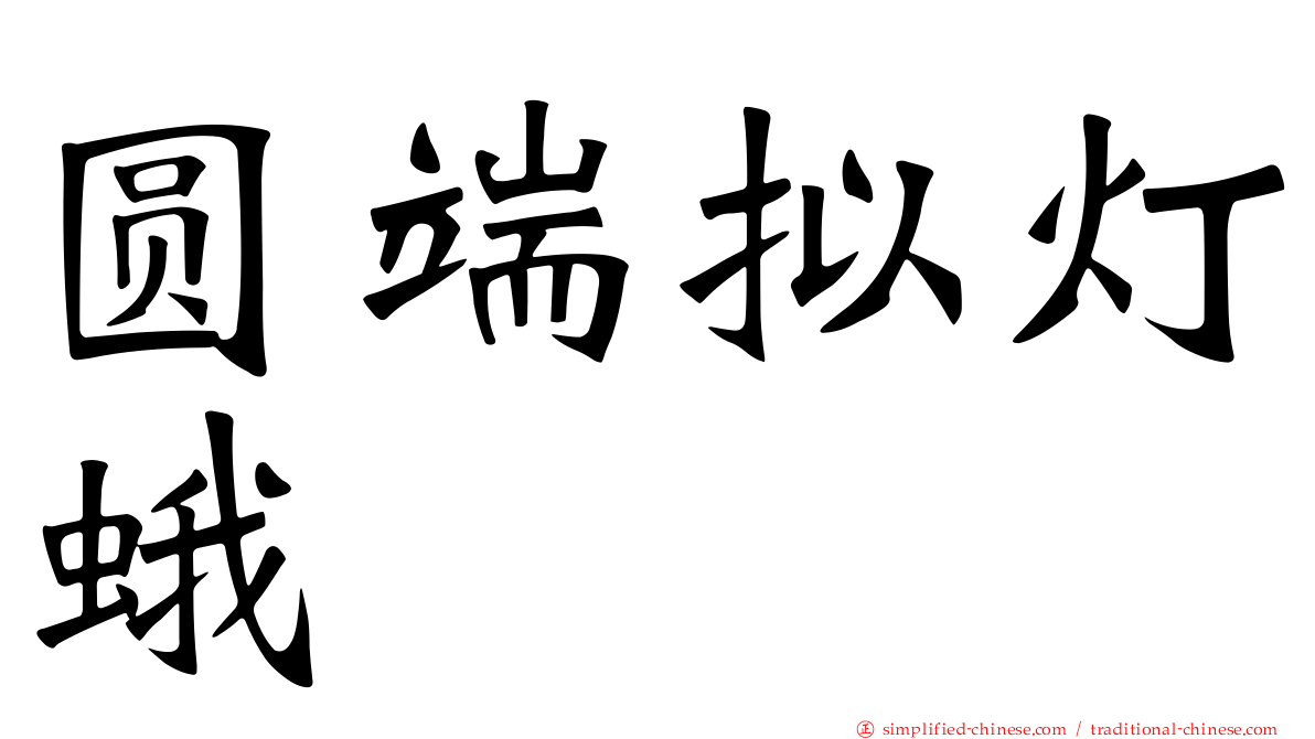 圆端拟灯蛾